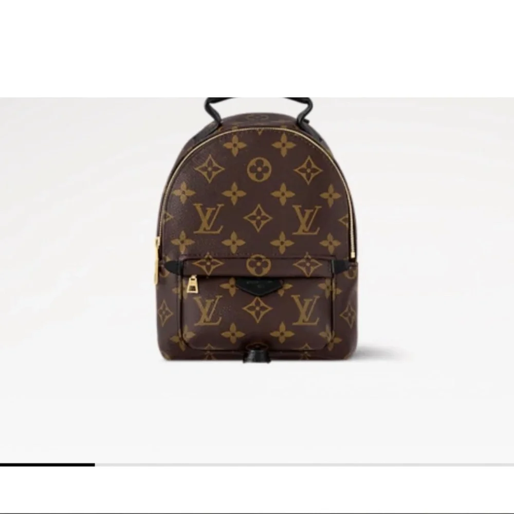 Louis Vuitton Palm Springs Mini - Picture 4 of 16